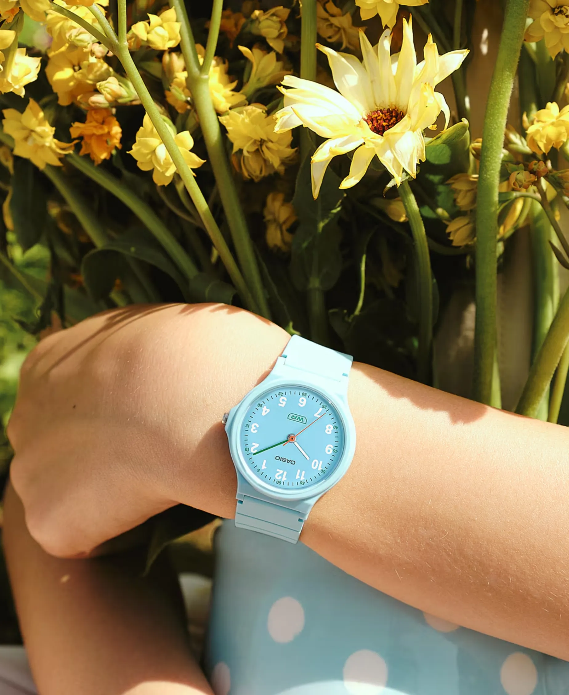 Casio LQ Aazul Marino 31 mm | LQ-24B-2BEF
