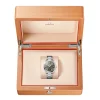 OMEGA Seamaster Aqua Terra Co-Axial Master Chronometer 38 mm | 220.10.38.20.10.003