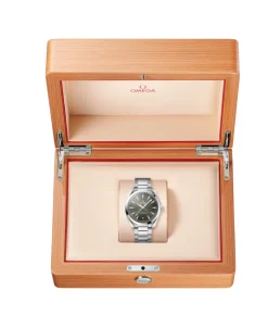 OMEGA Seamaster Aqua Terra 150M Co-Axial Master Chronometer 41 mm | 220.10.41.21.10.001
