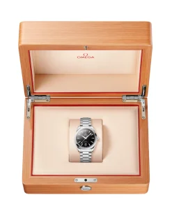 OMEGA Seamaster Aqua Terra 150M Negro Acero 38 mm | 220.10.38.20.01.004