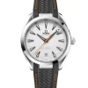 OMEGA Seamaster Aqua Terra 150M Plateado Acero 41 mm | 220.12.41.21.02.002