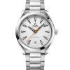OMEGA Seamaster Aqua Terra 150M Plateado Acero 41 mm | 220.10.41.21.02.001
