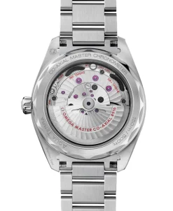 OMEGA Seamaster Aqua Terra 150M Plateado Acero 41 mm | 220.10.41.21.02.002