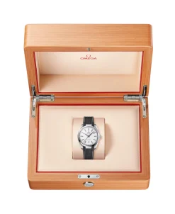 OMEGA Seamaster Aqua Terra 150M Plateado Acero 38 mm | 220.12.38.20.02.001