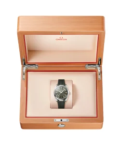 OMEGA Seamaster Aqua Terra 150M Verde Acero 38 mm | 220.12.38.20.10.001