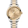 OMEGA Seamaster Aqua Terra Shades 34 mm | 220.20.34.20.08.001