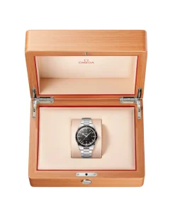 OMEGA Seamaster 300 Co‑Axial Master Chronometer 41 mm | 234.30.41.21.01.001