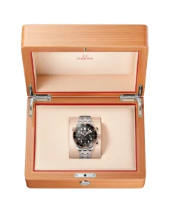 OMEGA Seamaster Diver 300M Co-Axial Master Chronometer Negro Acero 42 mm | 210.30.42.20.01.001