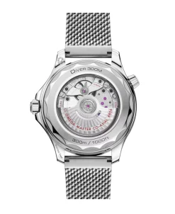 OMEGA Seamaster Diver 300M Co‑Axial Master Chronometer 42 mm | 210.30.42.20.01.010