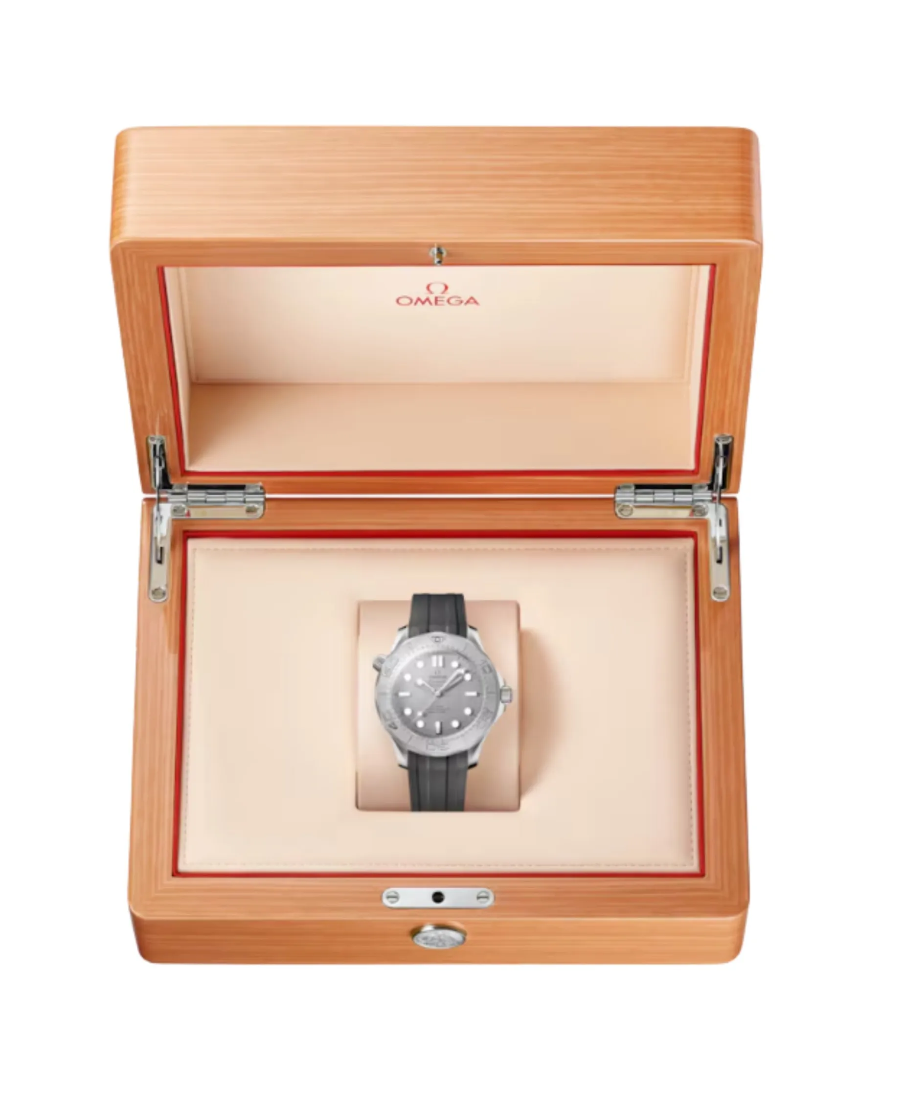 OMEGA Seamaster Diver 300M Co-Axial Master Chronometer Gris Acero 42 mm | 210.32.42.20.06.002