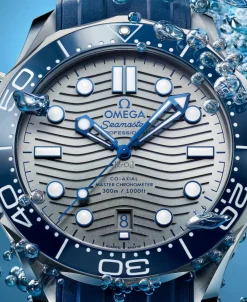 OMEGA Seamaster Diver 300M Co-Axial Master Chronometer Gris Acero 42 mm | 210.32.42.20.06.001