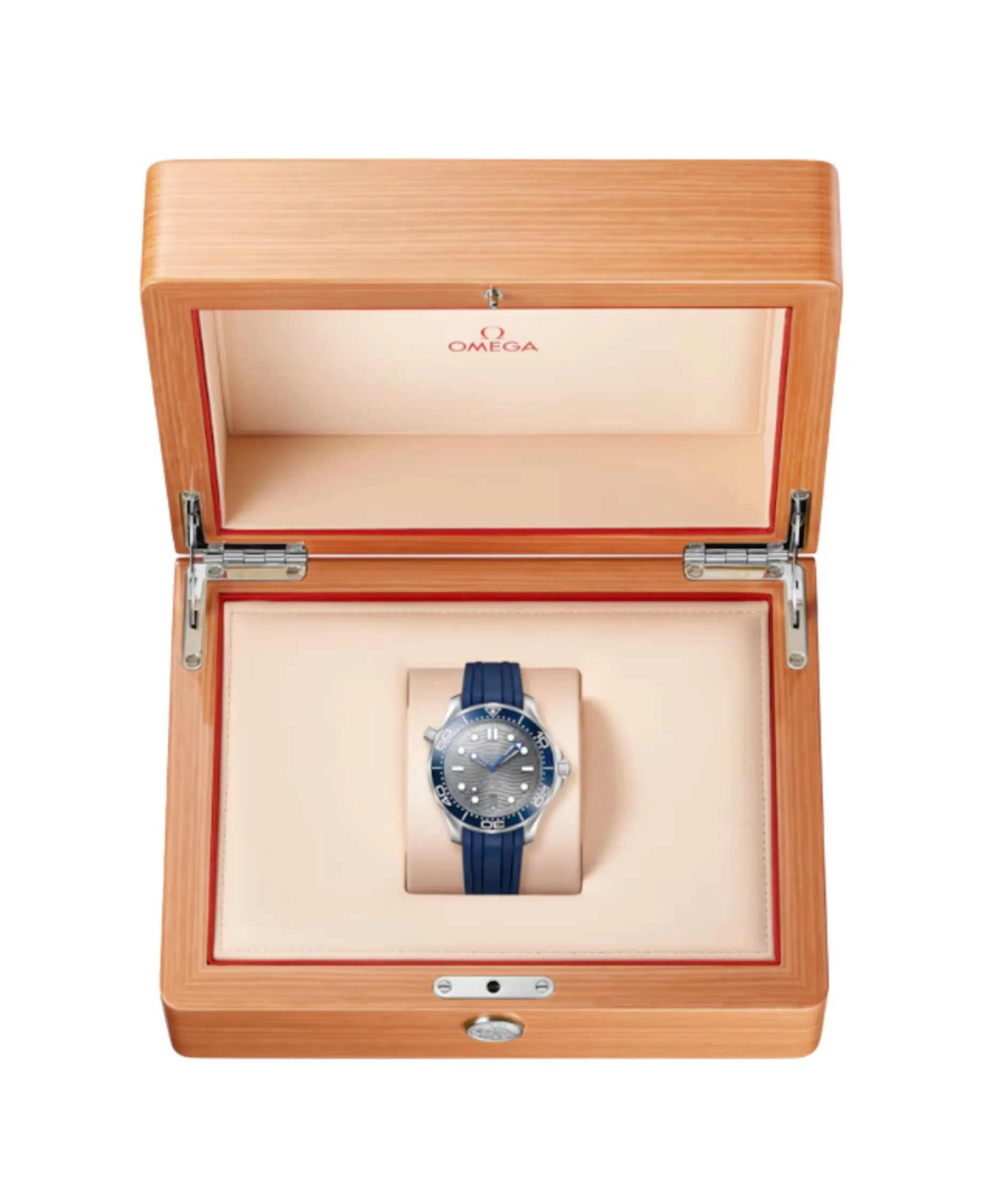 OMEGA Seamaster Diver 300M Co-Axial Master Chronometer Gris Acero 42 mm | 210.32.42.20.06.001