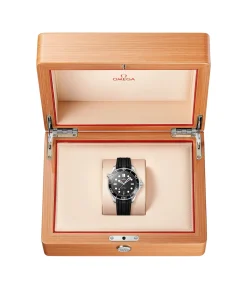 OMEGA Seamaster Diver 300M Co-Axial Master Chronometer Negro 42 mm | 210.32.42.20.01.001
