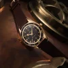 OMEGA Seamaster 300 Marrón Bronze Gold 41 mm | 234.92.41.21.10.001