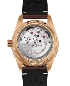 OMEGA Seamaster 300 Marrón Bronze Gold 41 mm | 234.92.41.21.10.001