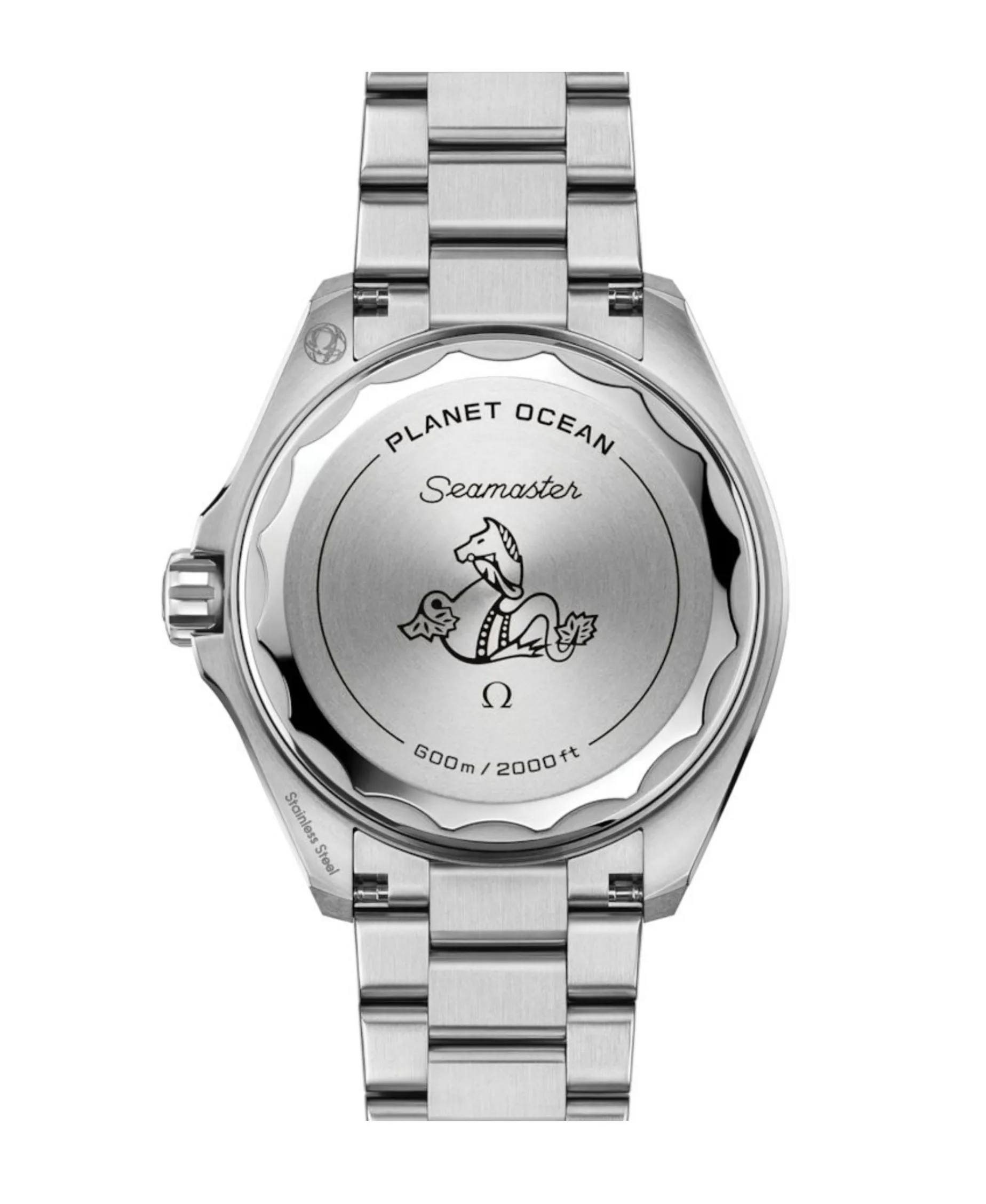 OMEGA Seamaster Planet Ocean 600M Co-Axial Master Chronometer 42 mm | 217.30.42.21.01.002