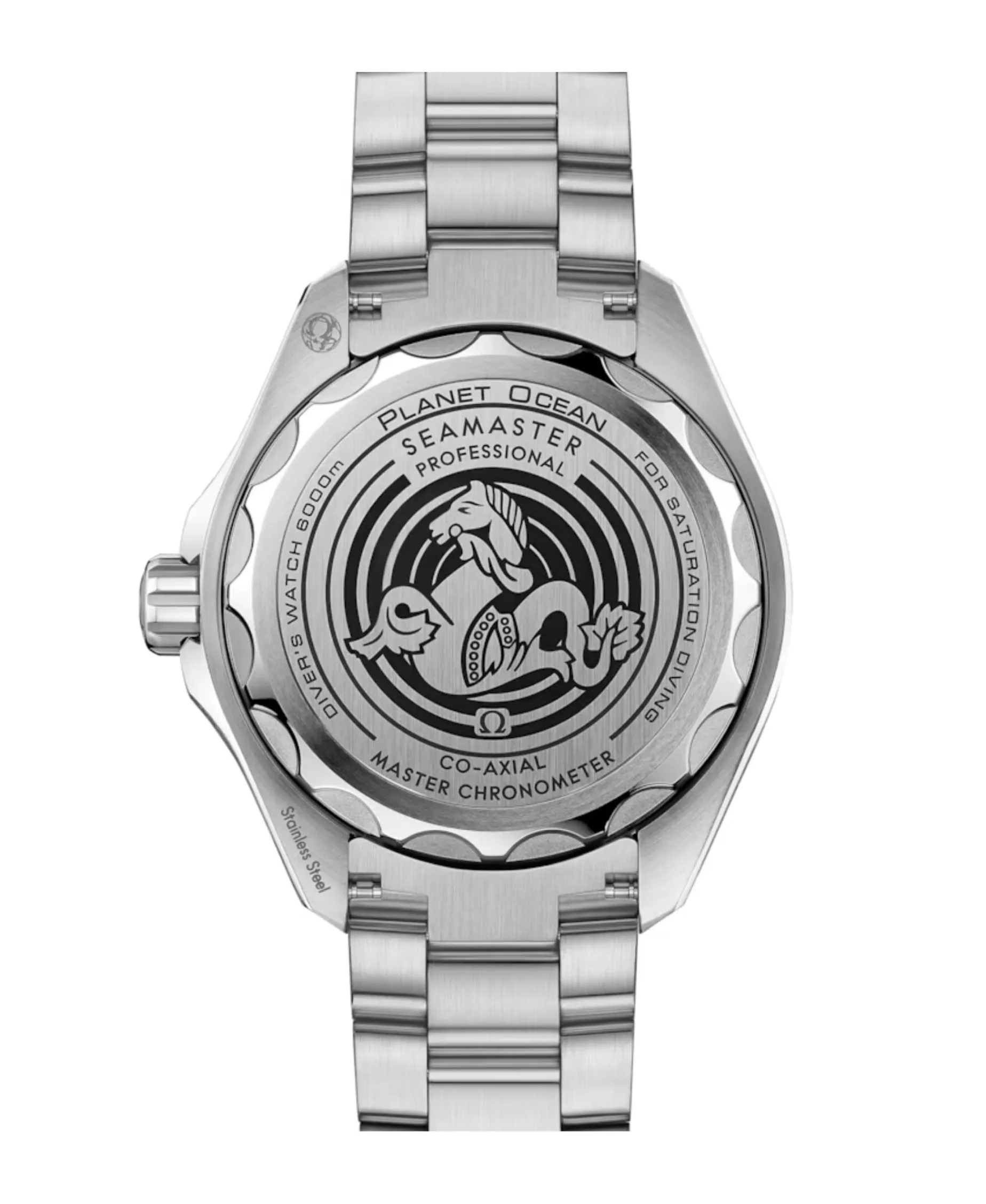 OMEGA Seamaster Planet Ocean 6000M Co-Axial Master Chronometer 45,5 mm | 215.30.46.21.03.001